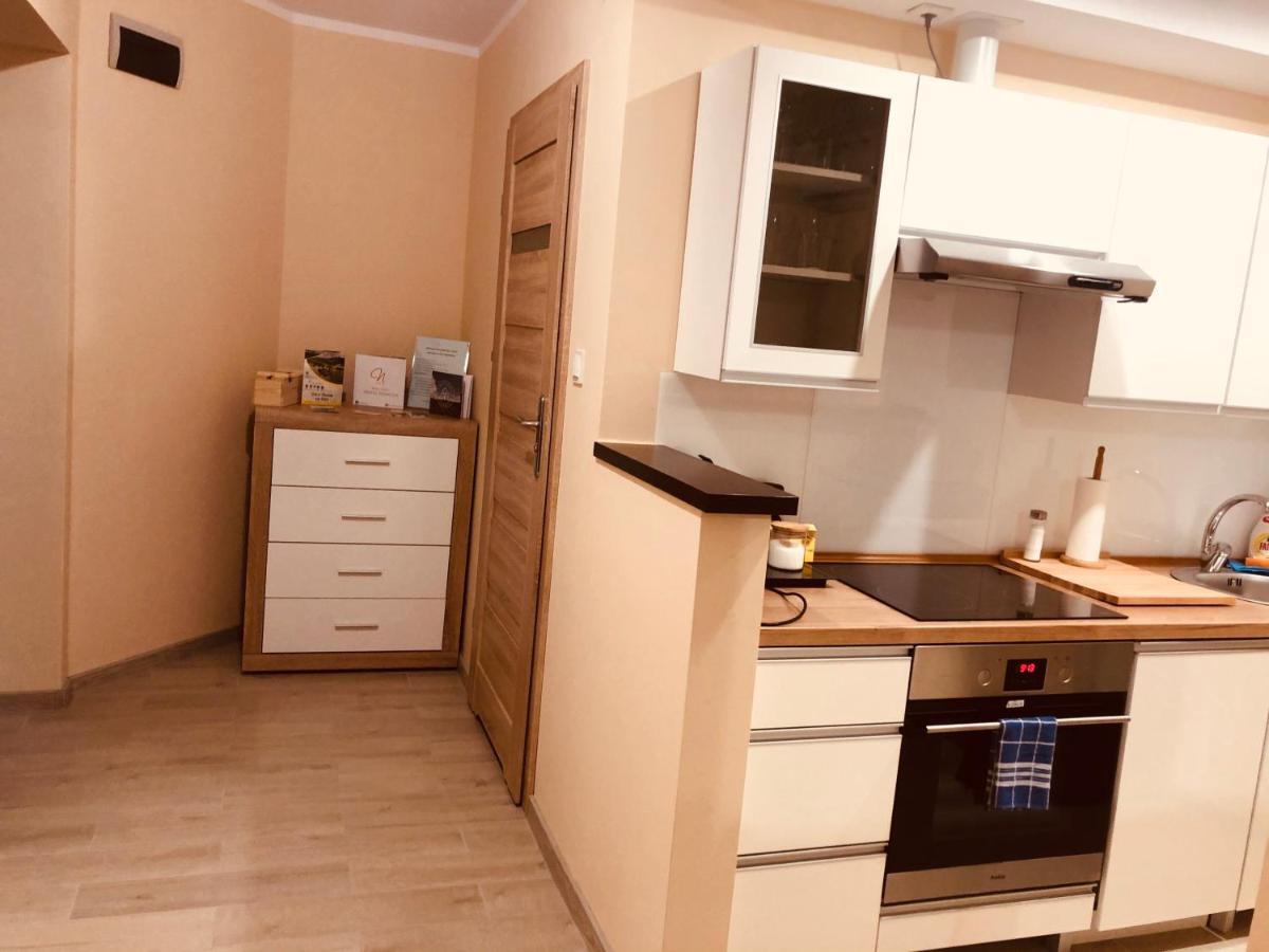 Apartamenty Alicja Dzierżoniów Екстериор снимка
